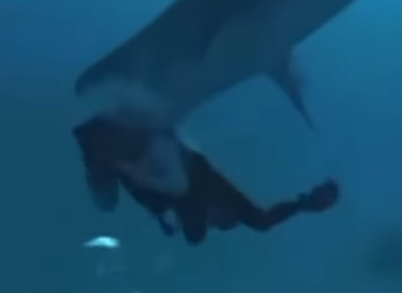 馬爾代夫鯊魚險咬甩中國女遊客人頭影片曝光（圖片來源︰IG@killshotlife）