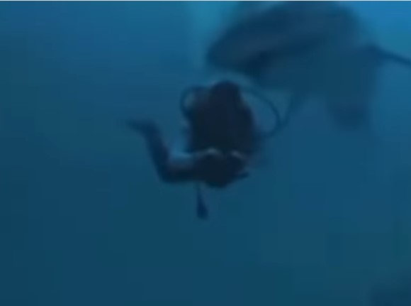 馬爾代夫鯊魚險咬甩中國女遊客人頭影片曝光（圖片來源︰IG@killshotlife）