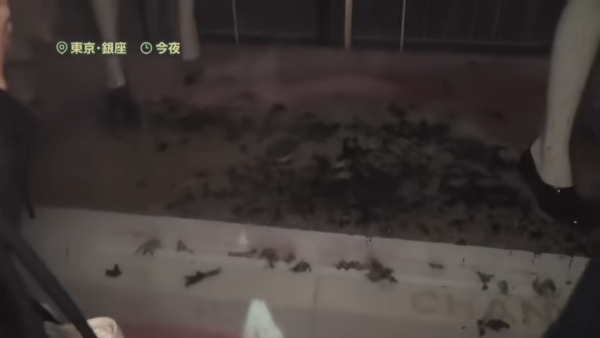 東京銀座CHANEL發生驚險火災!巨型聖誕蝴蝶結起火畫面曝光!