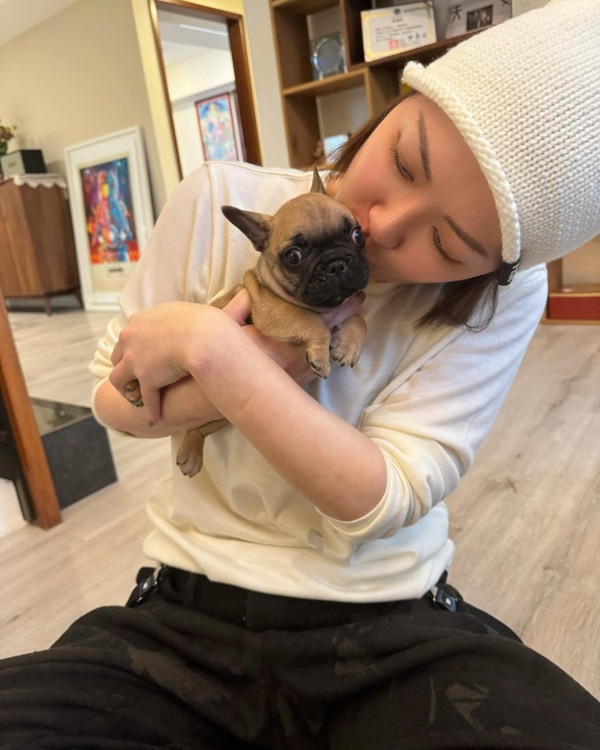 48歲田蕊妮癌症復發全面停工！杜汶澤停工護妻：照顧妳是我的責任／附6大患癌先兆