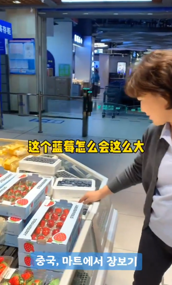 上海浦東機場附近發生車禍1死2傷 美麗華旅遊港人領隊被拋出車外身亡 