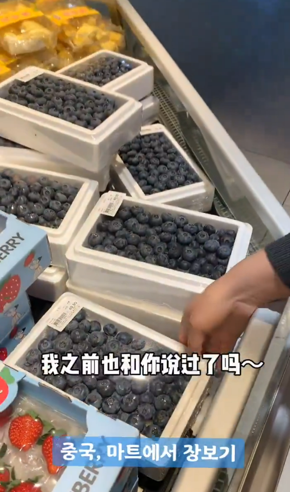 上海浦東機場附近發生車禍1死2傷 美麗華旅遊港人領隊被拋出車外身亡 