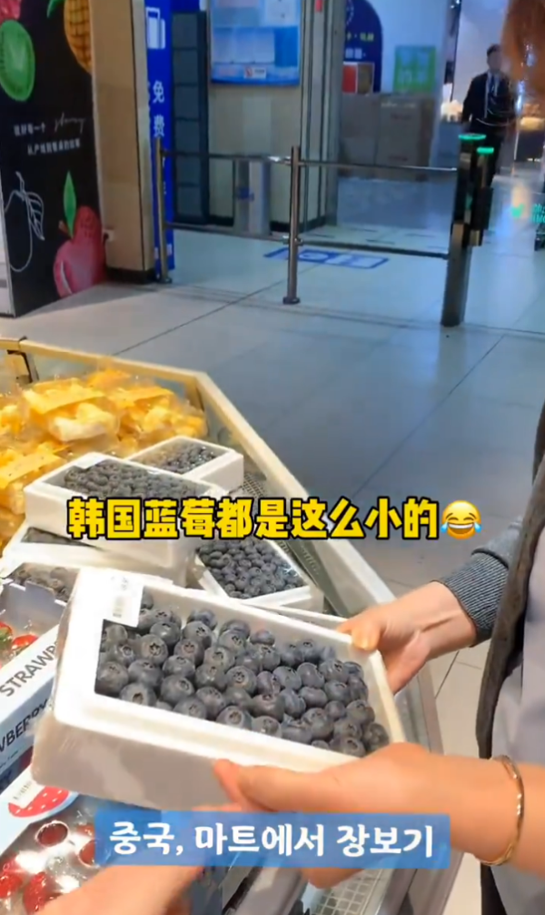 上海浦東機場附近發生車禍1死2傷 美麗華旅遊港人領隊被拋出車外身亡 