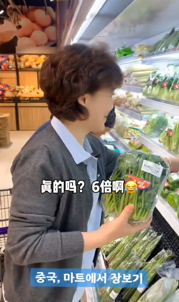 上海浦東機場附近發生車禍1死2傷 美麗華旅遊港人領隊被拋出車外身亡 