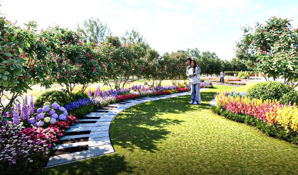 澳門聖誕必去5大活動 幻彩耀濠江/塔石廣場市集/龍環葡韻花卉展 