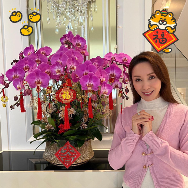 郭可盈曝光逾4500萬豪宅