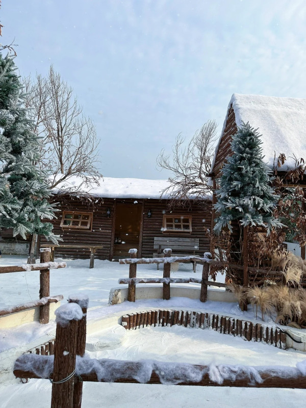 nice mini網紅打卡基地（圖片來源：小紅書@nice mini網紅打卡基地）