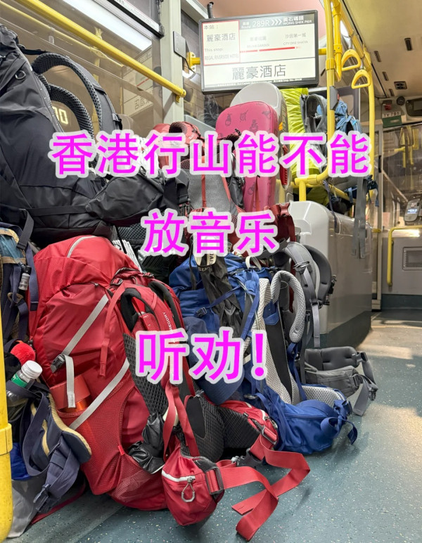 大東山芒草變遊客打卡景點！落山現誇張人龍等車：$40程劏客