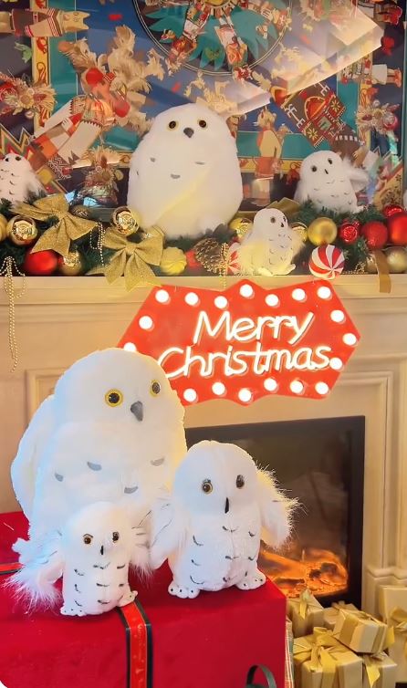深圳5大聖誕打卡餐廳Cafe推介！旋轉木馬裝置/雪白貓頭鷹公仔/玩具熊牆（附地址） 