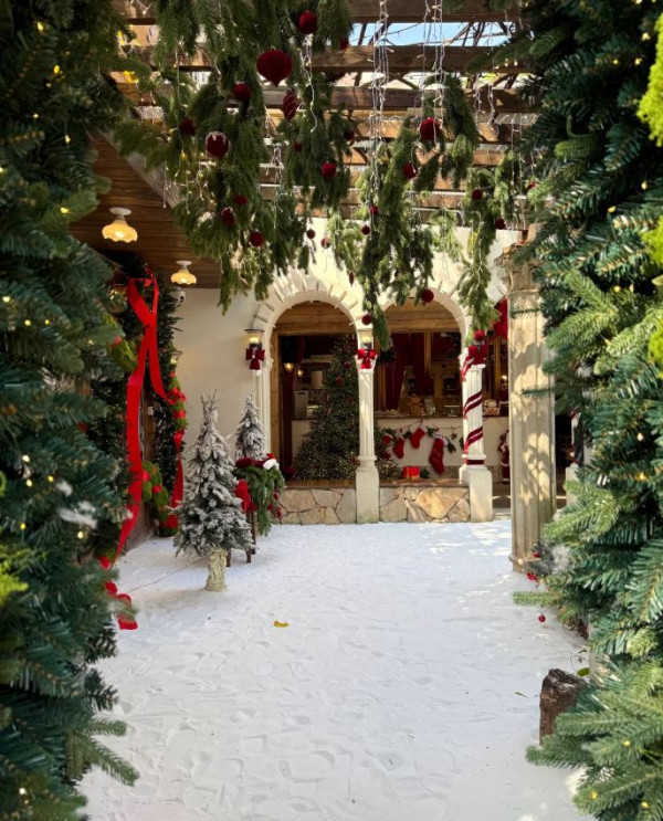 深圳5大聖誕打卡餐廳Cafe推介！旋轉木馬裝置/雪白貓頭鷹公仔/玩具熊牆（附地址） 