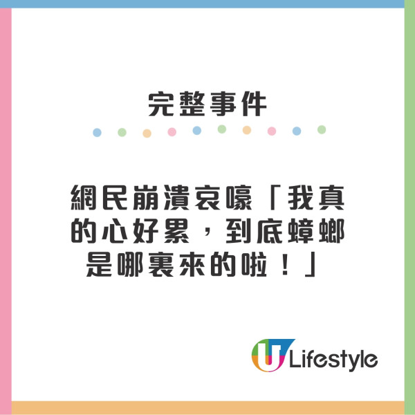 曱甴入屋︱零煮食無廚餘仍有曱甴！？ 網民推測曱甴從排水口上來可能性大