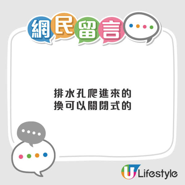 曱甴入屋︱零煮食無廚餘仍有曱甴！？ 網民推測曱甴從排水口上來可能性大