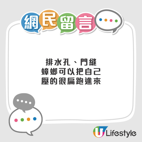 曱甴入屋︱零煮食無廚餘仍有曱甴！？ 網民推測曱甴從排水口上來可能性大