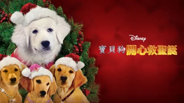 聖誕電影2024（圖片來源：Disneyplus）