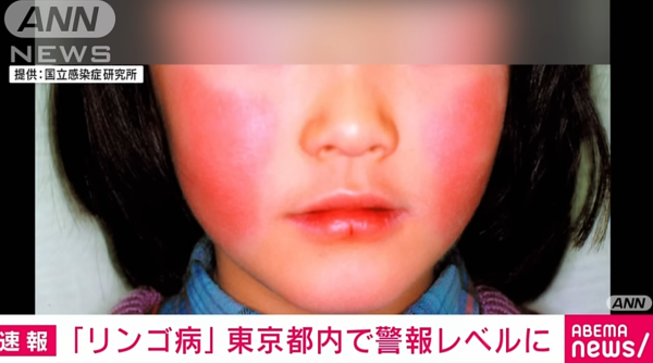 東京哈利波特影城1紀念品原來違法！日本華納兄弟緊急下架停售 