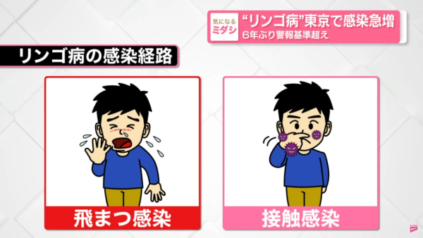 東京哈利波特影城1紀念品原來違法！日本華納兄弟緊急下架停售 