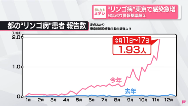 東京哈利波特影城1紀念品原來違法！日本華納兄弟緊急下架停售 