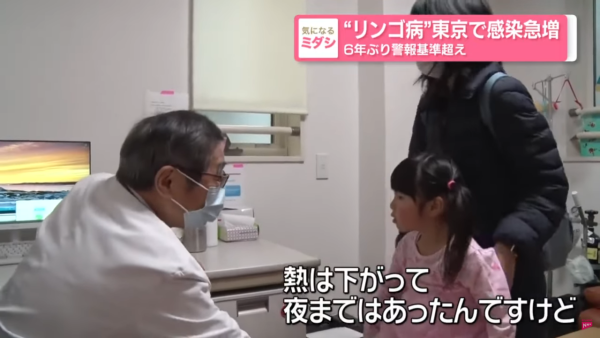 東京哈利波特影城1紀念品原來違法！日本華納兄弟緊急下架停售 