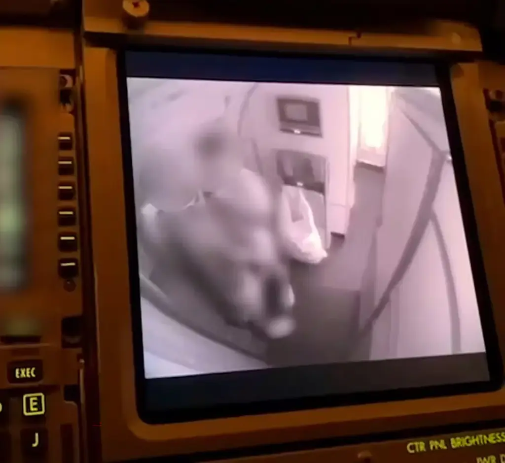 飛機廚房情侶跪地演活春宮 空少後續1個行為卻遭狠批 最終結局如此？ 