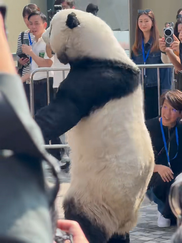 小紅書熱議香港特別愛講一單詞 頻繁出現在車站/歌詞 網民：這詞也很常見 