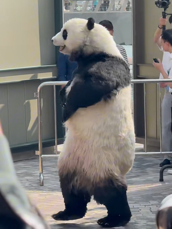 小紅書熱議香港特別愛講一單詞 頻繁出現在車站/歌詞 網民：這詞也很常見 