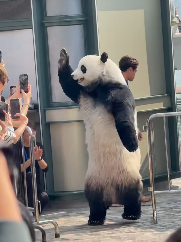 小紅書熱議香港特別愛講一單詞 頻繁出現在車站/歌詞 網民：這詞也很常見 