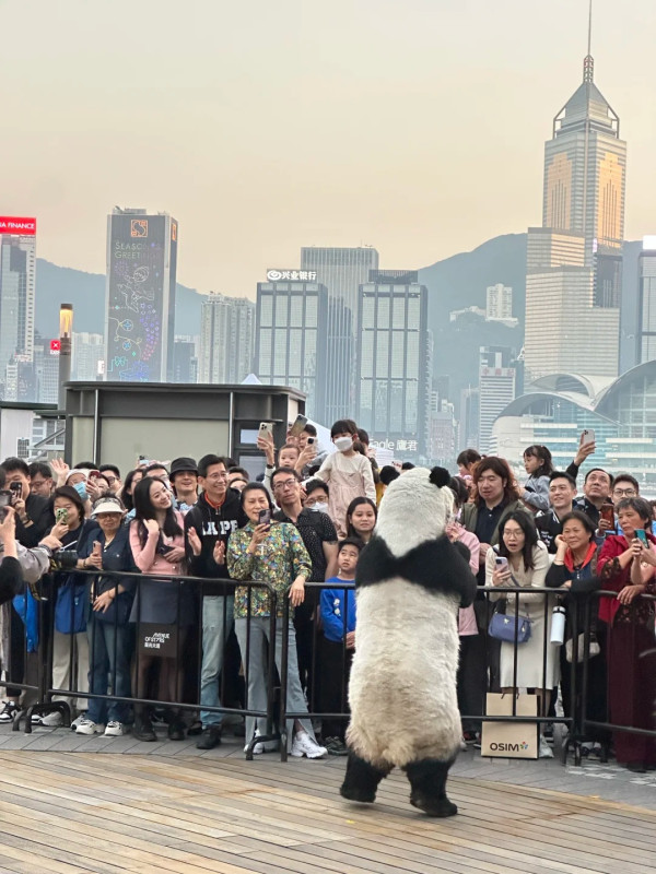 小紅書熱議香港特別愛講一單詞 頻繁出現在車站/歌詞 網民：這詞也很常見 