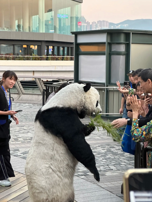 小紅書熱議香港特別愛講一單詞 頻繁出現在車站/歌詞 網民：這詞也很常見 
