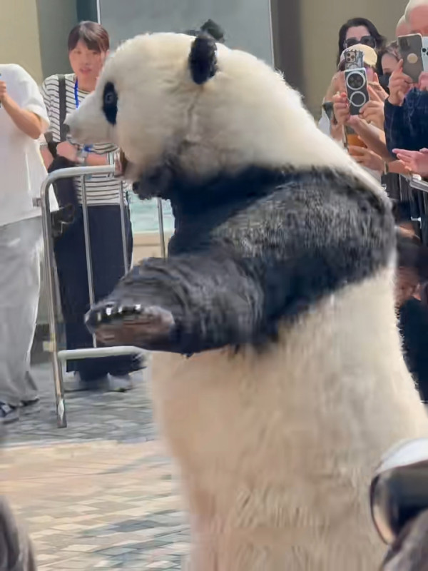 小紅書熱議香港特別愛講一單詞 頻繁出現在車站/歌詞 網民：這詞也很常見 