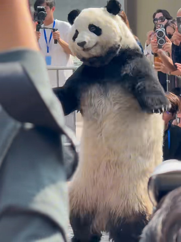 小紅書熱議香港特別愛講一單詞 頻繁出現在車站/歌詞 網民：這詞也很常見 