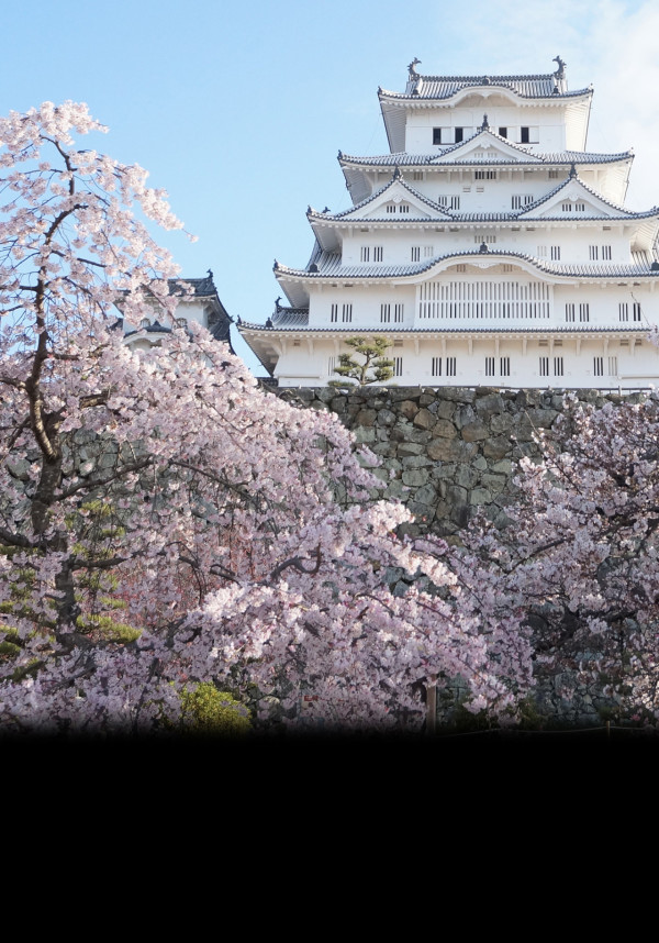 （圖片來源︰姬路城官網）