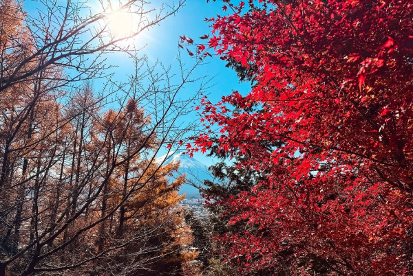 黃心穎二家姐黃心妙IG狂曬火辣相 弗爆身材超吸睛 瘋狂突破性感尺度！ 