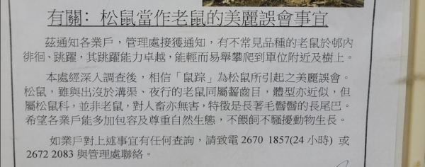 400呎公屋換綠置居單位！$170萬上樓做業主！港人做錯一事極後悔：我好蠢