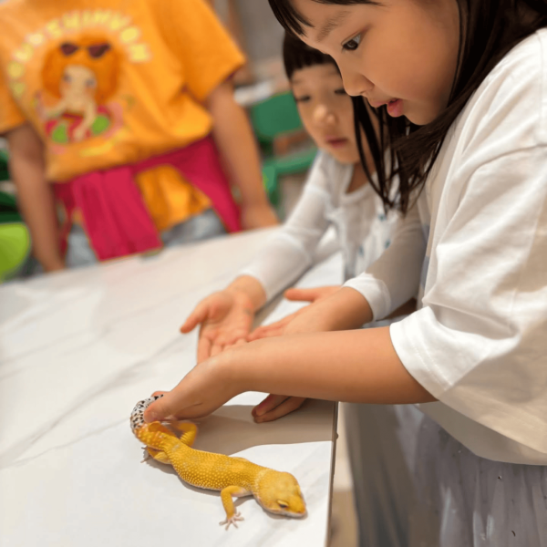 王祖藍李亞男兩囡囡一同慶生 王祖藍李亞男兩囡囡一同慶生