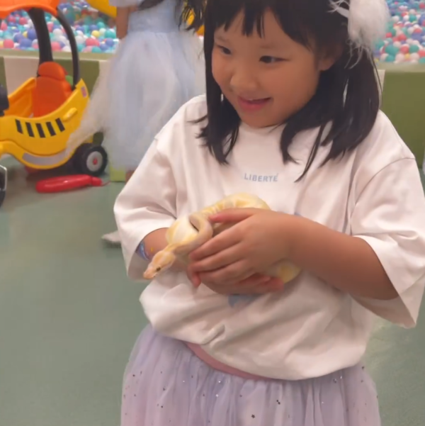 王祖藍李亞男兩囡囡一同慶生 王祖藍李亞男兩囡囡一同慶生