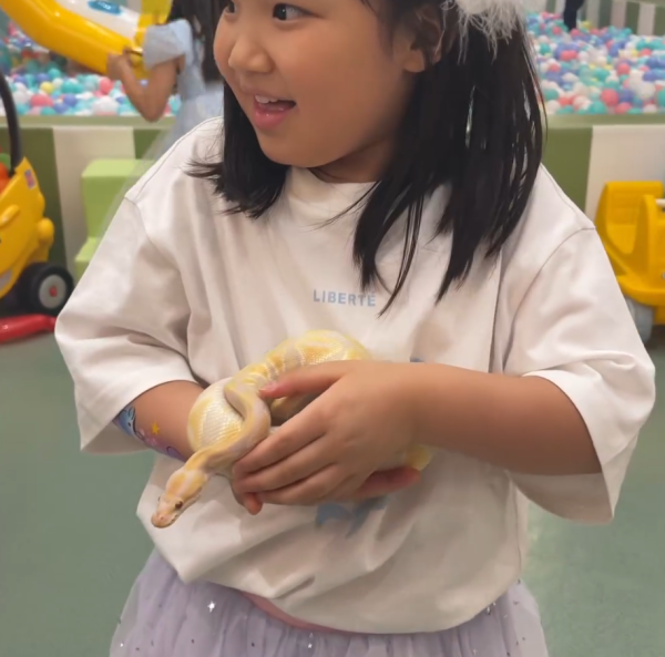 王祖藍李亞男兩囡囡一同慶生 王祖藍李亞男兩囡囡一同慶生