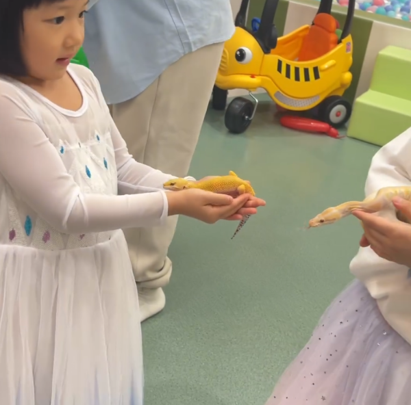 王祖藍李亞男兩囡囡一同慶生 王祖藍李亞男兩囡囡一同慶生