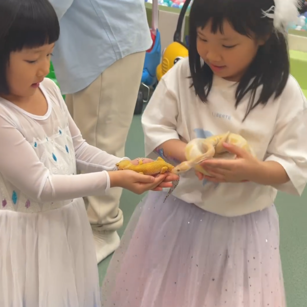 王祖藍李亞男兩囡囡一同慶生 王祖藍李亞男兩囡囡一同慶生