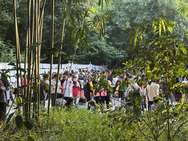 港女內地「相親角」慘遭拒絕！比學歷收入更看重1個先天條件？