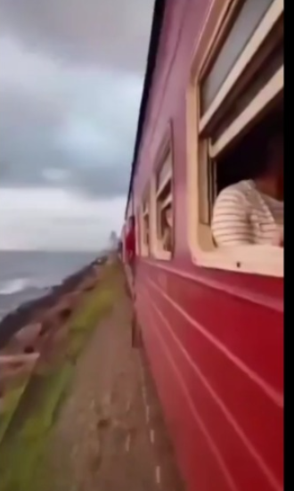 中國女斯里蘭卡火車「亡命打卡」 彎腰伸出車外 被樹枝擊中墮軌 