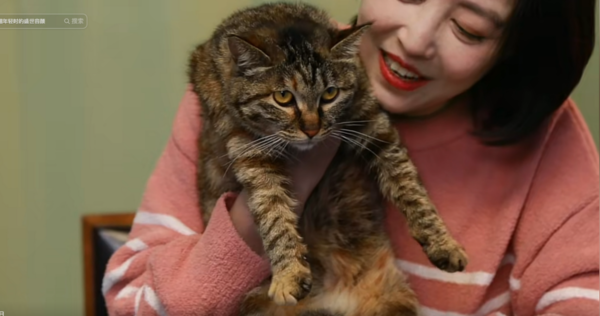 網民口岸偶遇前英皇性感女星 晒傲人白滑長腿 曾意外險死於泰國 