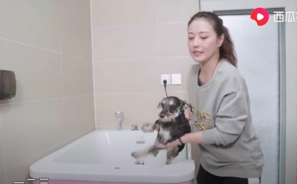 網民口岸偶遇前英皇性感女星 晒傲人白滑長腿 曾意外險死於泰國 