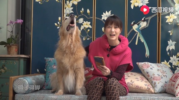 網民口岸偶遇前英皇性感女星 晒傲人白滑長腿 曾意外險死於泰國 