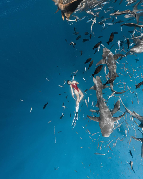 前TVB男星包果園賣橙 創業路上一波三折被笑唔適合做生意 