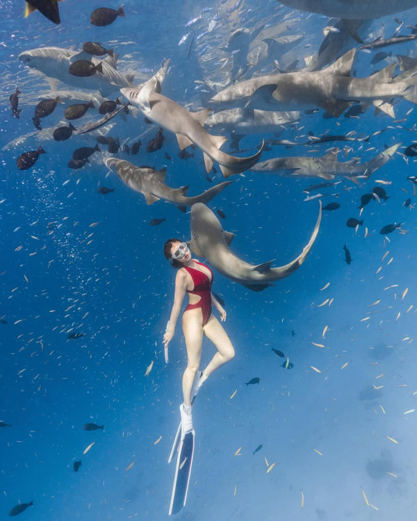 前TVB男星包果園賣橙 創業路上一波三折被笑唔適合做生意 