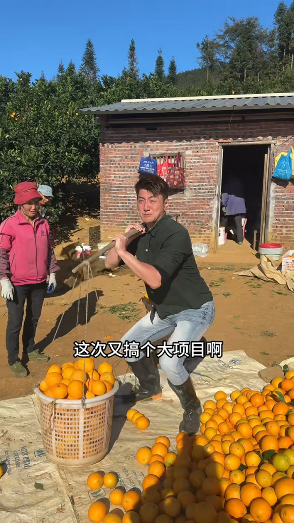 前TVB男星包果園賣橙 創業路上一波三折被笑唔適合做生意 