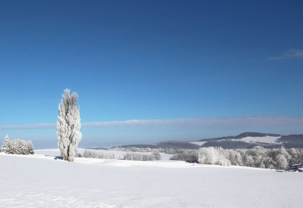 日本賞雪景點 北海道美瑛町（圖片來源：美瑛町觀光協會）