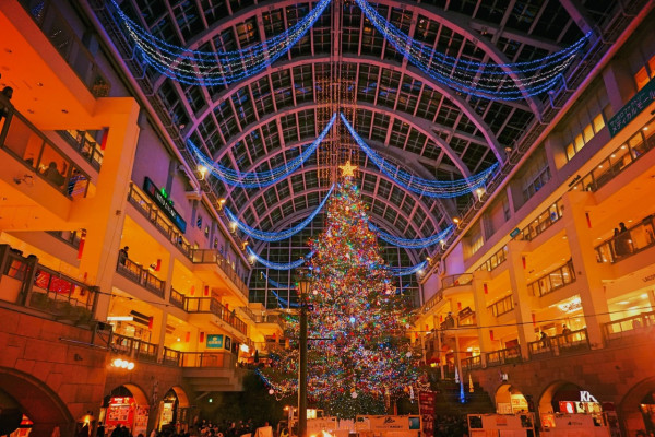 (圖片來源︰北海道官方旅遊網站) (圖片來源︰北海道官方旅遊網站)