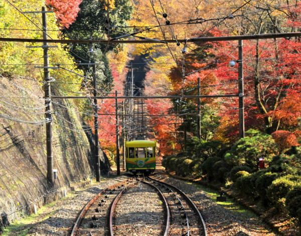 （圖片來源︰東京旅遊官方網站）