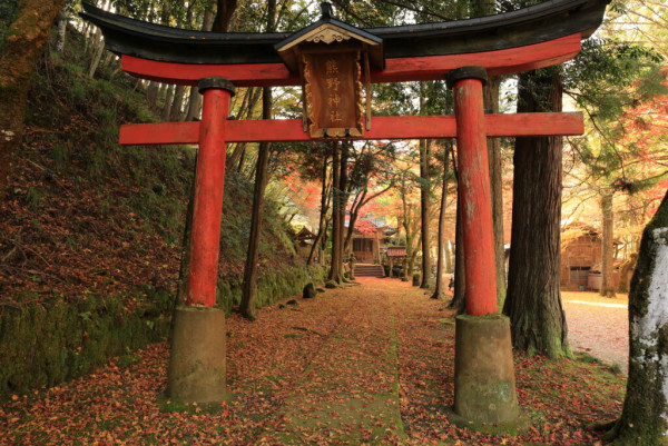 （圖片來源︰京都官方旅遊網站）